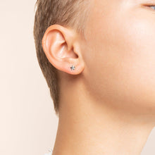 Load image into Gallery viewer, Mini Star Earrings - Alice